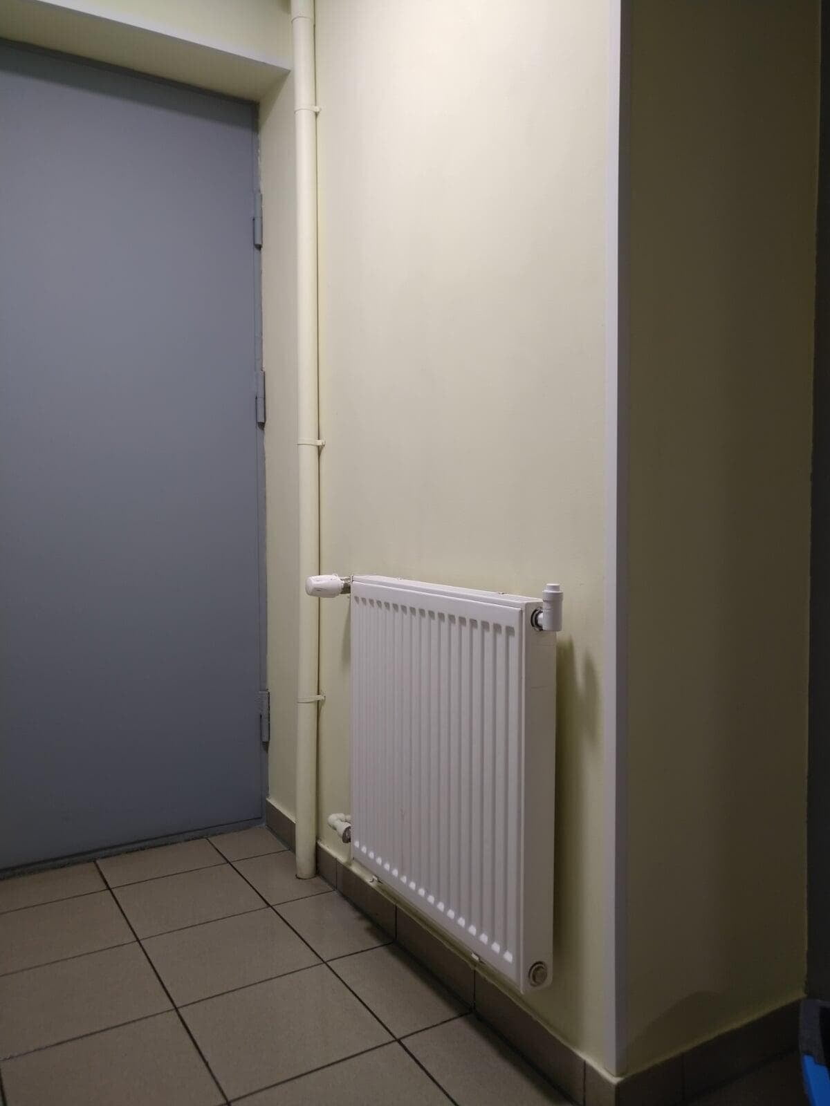Enne samblatõrjet